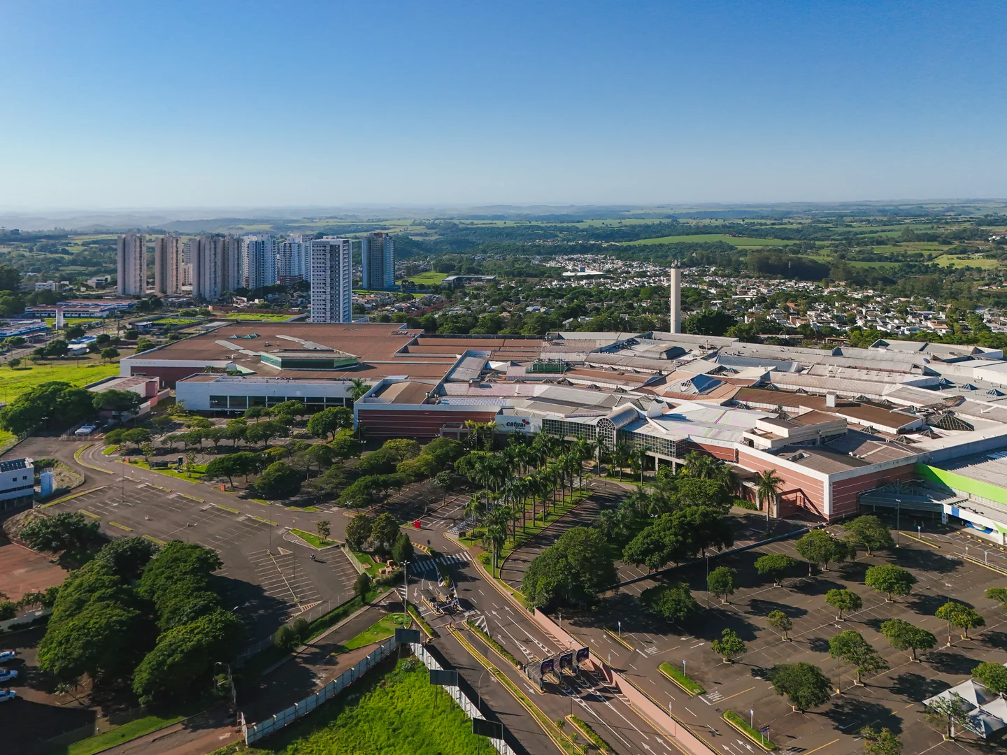 Constituição do Grupo Catuaí
