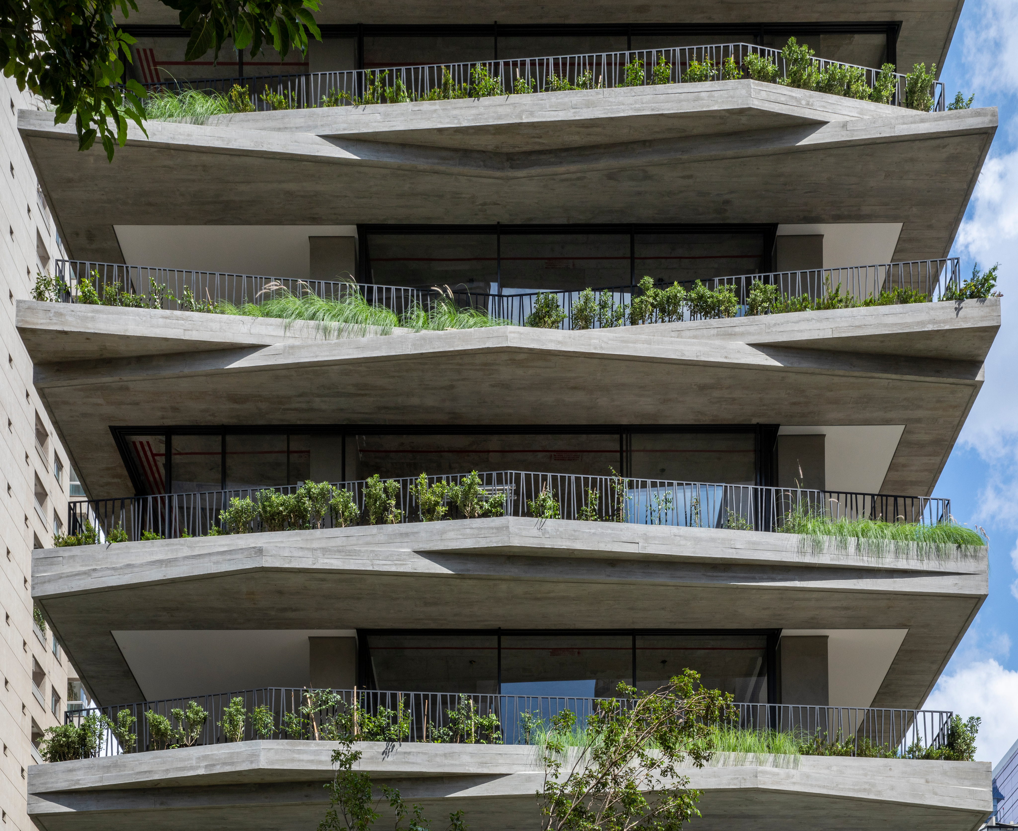 Grupo Catuaí (2017–presente)